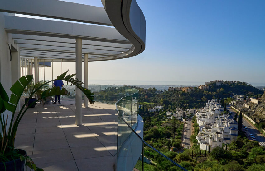 The View